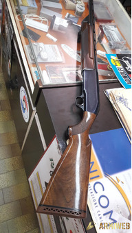 Beretta am301